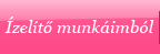 &Iacute;zel&iacute;tő munk&aacute;imb&oacute;l